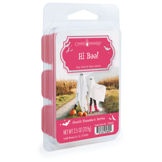 Hi Boo! Limited Edition 2.5oz Halloween Wax Melt