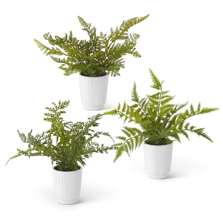 14" Faux Fern in White Ceramic Pot | Artificial Fern Plant Decor