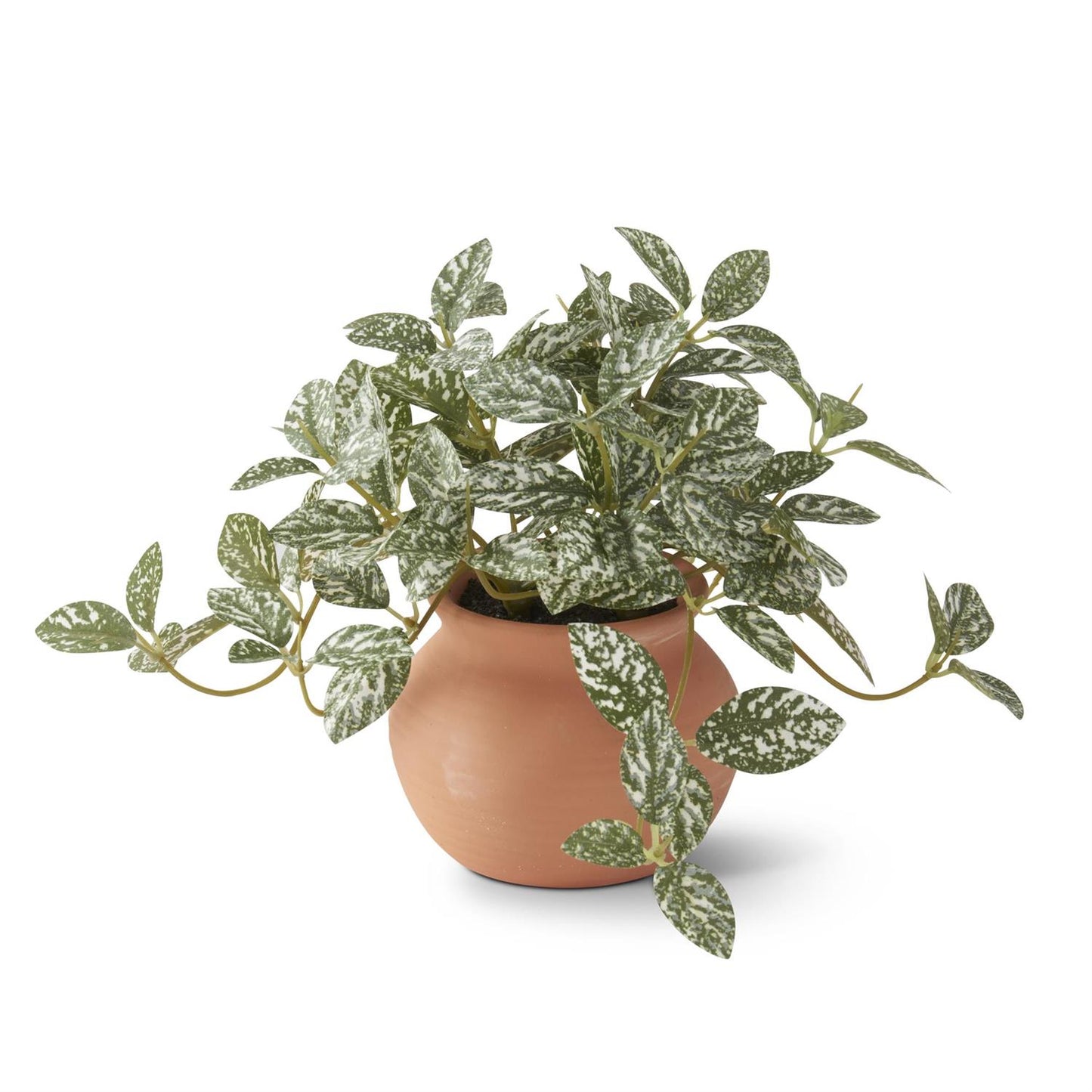 Ceramic Potted Plants 6.5 Inch