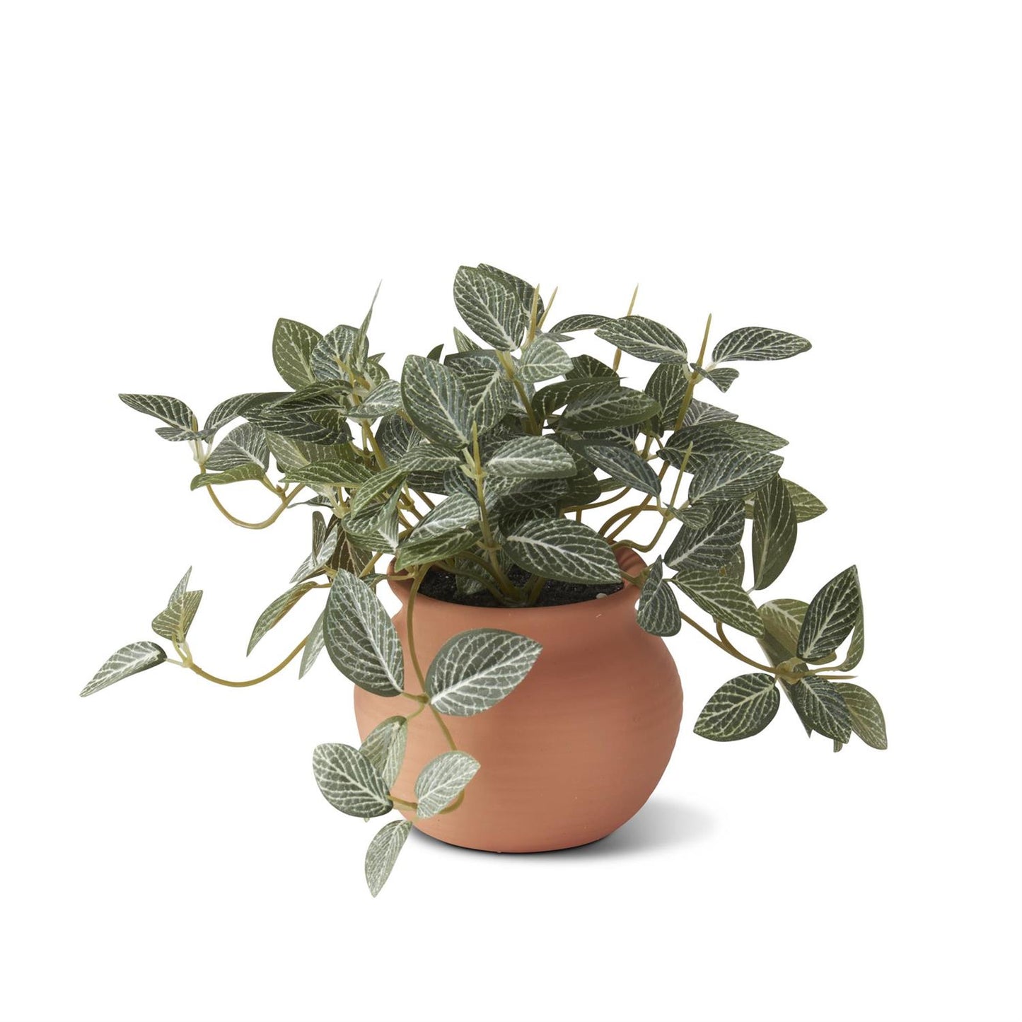 Ceramic Potted Plants 6.5 Inch