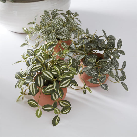 Ceramic Potted Plants 6.5 Inch