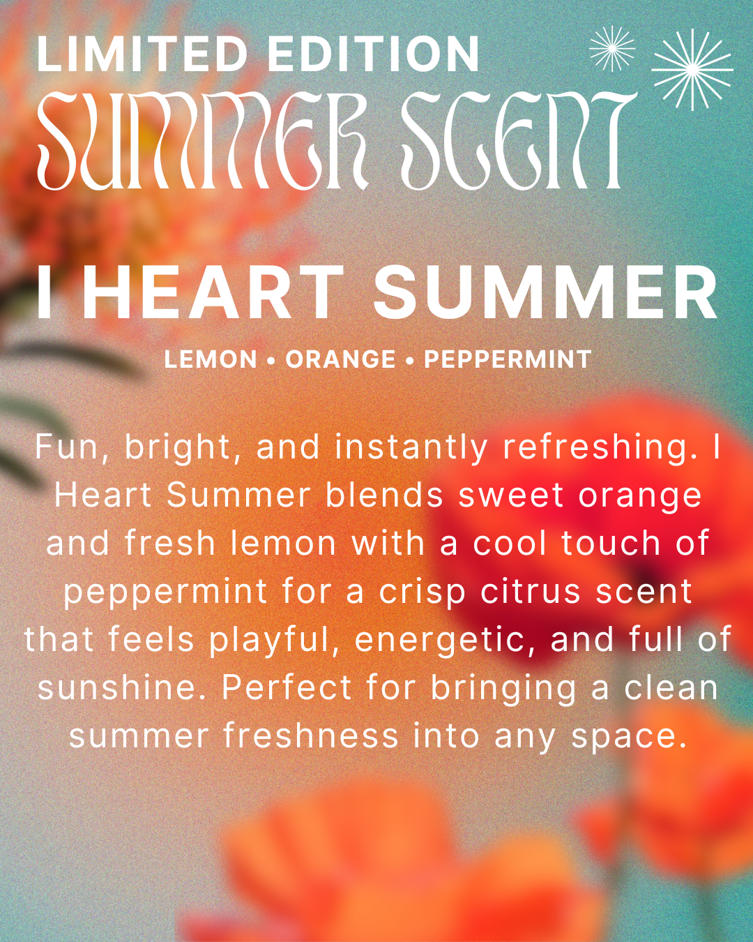 Summer Edition Room Sprays 2oz