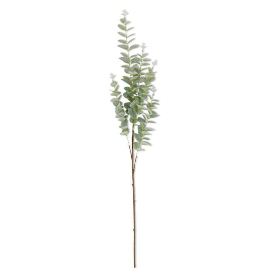Light Green Eucalyptus Stem