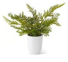14" Faux Fern in White Ceramic Pot | Artificial Fern Plant Decor