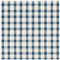 Navy Painted Check Napkins