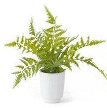 14" Faux Fern in White Ceramic Pot | Artificial Fern Plant Decor