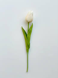 Real Touch White Tulip